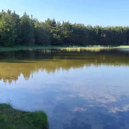 Hébergement de vacances 5 Person In Ulfborg-by Traum *