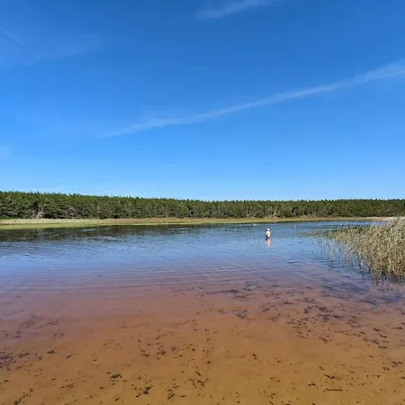 Hébergement de vacances 5 Person In Ulfborg-by Traum Ulfborg